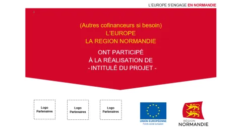 Vignette affiche pub UE