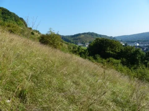Métropole Rouen Normandie