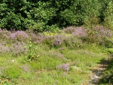 Métropole Rouen Normandie