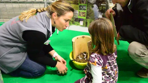 02-Animation PicPrune FermeenFete 2015 TBiero.jpg