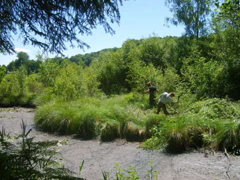 Reouverture Culoiseau TBiero.JPG