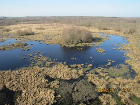 17-GrandHaze helico DRungette.jpg