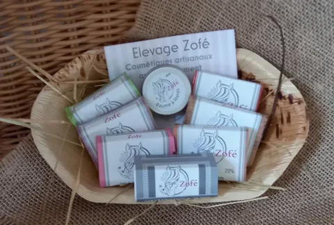 ELEVAGE ZOFE