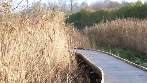 Montivilliers : Aménagement du parc jardin de la sente des rivières 