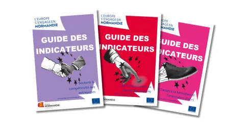 Guide des indicateurs