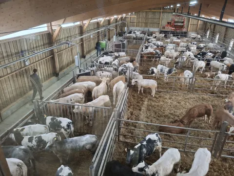 FEADER visite projet